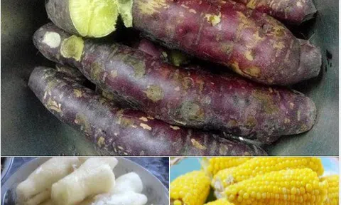 Cảm xúc mùa đông