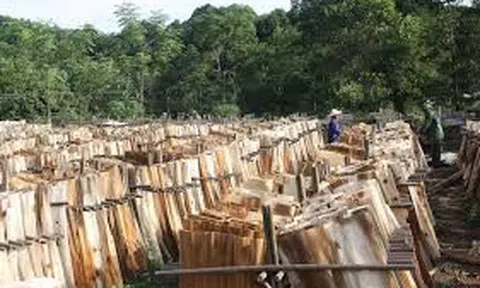 Việt Nam có bao nhiêu làng nghề chế biến gỗ?