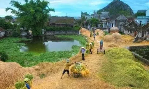 Một lần đùa dại