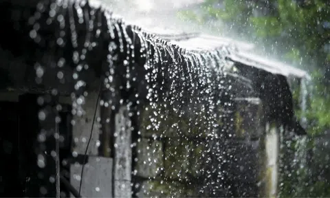 Nước mưa là cưa trời