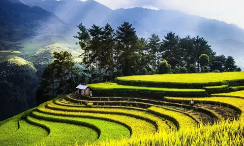 Ruộng bậc thang