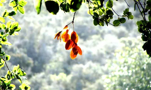 Khi hết tuổi trẻ, ta nên sống như thế nào