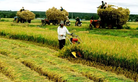 “Nghiệp thơ” sự thống khổ hay “tự thú”