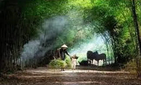 Chị tôi