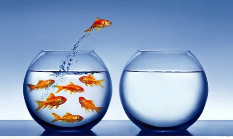 “Nhân chia cộng trừ” cuộc đời