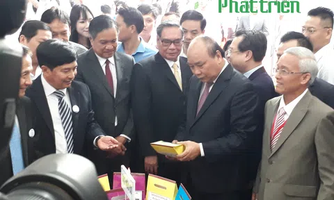 Kiên Giang: Tạo môi trường kinh doanh bình đẳng, thuận lợi cho doanh nghiệp