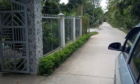 Chuyện về chim sa, cá lụy