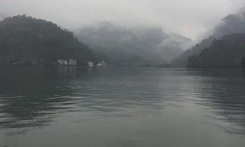 Trước tết đi hoang