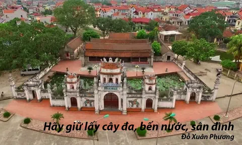 Hãy giữ lấy cây đa ,bến nước, sân đình