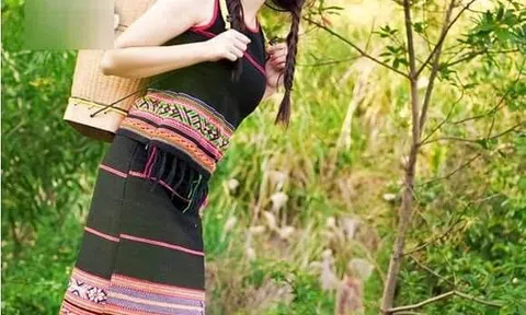 Cô gái rừng xanh