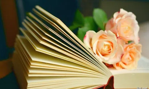 Phụ nữ và hoa hồng trong thơ Nguyễn Việt Chiến