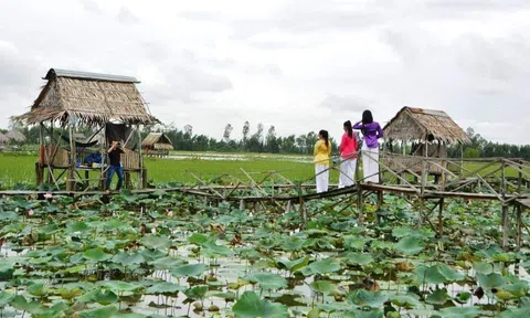 Đồng Tháp Mười