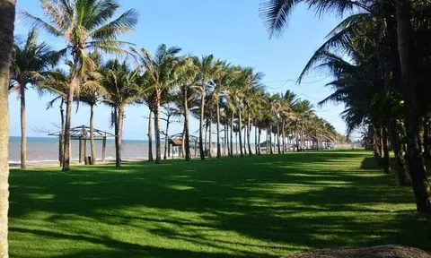 Vườn chim giữa lòng thành phố