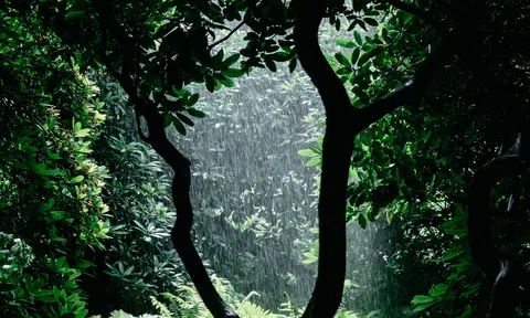 Trạng Lính Lính Trạng