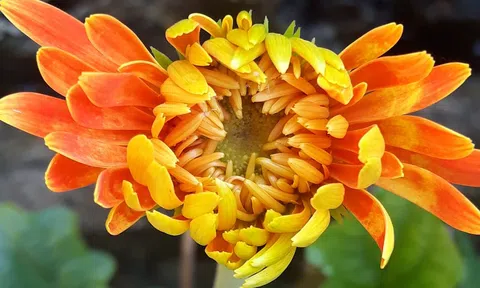 Làm người ai làm thế