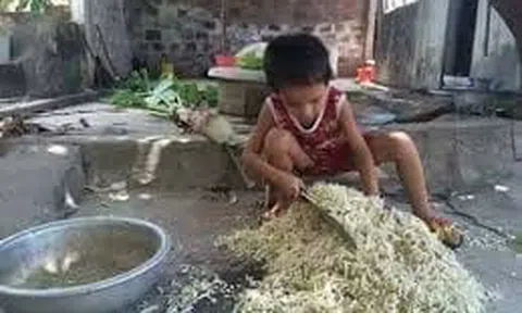 Nhớ thời thái chuối băm bèo