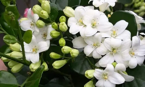 Khi người ta già