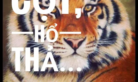 Hổ cột – Hổ thả (1989)