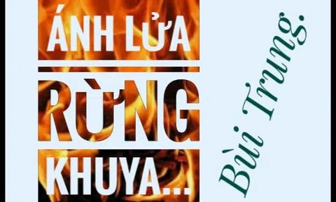 Ánh lửa rừng khuya