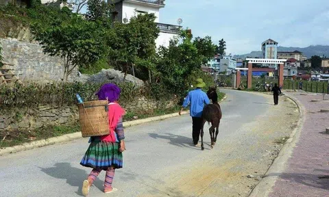 Câu cửa miệng là... Nốc cho lắm vào