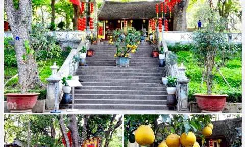 Núi Sưa hay núi Nùng