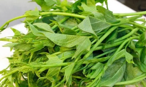 5 bài thuốc dân gian