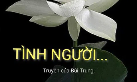 Tình người