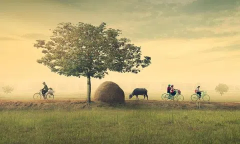 Tiếng quê mình lạc lõng giữa quê tôi