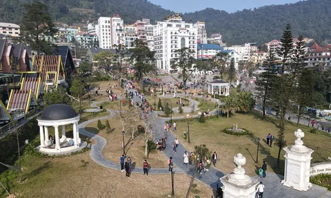 Vĩnh Phúc: Nâng tầm thương hiệu Khu du lịch Tam Đảo hấp dẫn du khách