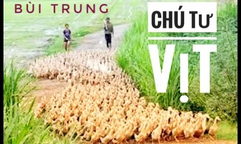 Chú Tư vịt