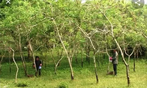 Sơn ăn tùy mặt, ma bắt tùy người