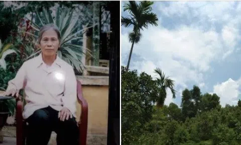 Tháng 11 nhớ mẹ!