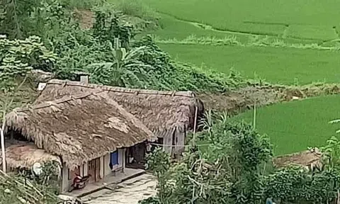 Cậu bé và con dê