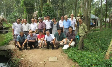 Tiếng hát – tình người