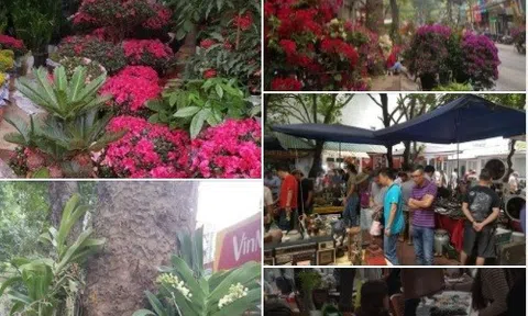 Chợ Bưởi “xưa” và nay