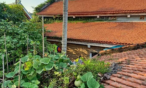 Nông thôn tự kỷ?