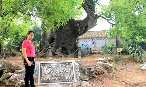 Bắc Giang: "Quốc chúa đô mộc Dã Đại vương" và tam cổ tự ở đất tiên