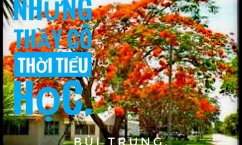 Những thầy cô thời tiểu học