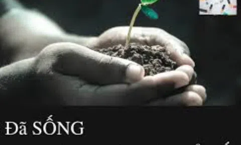 Nhân ngày 20/11: Hãy là người “Bình thường, tử tế”