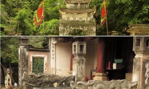 Áo đỏ vàng quì