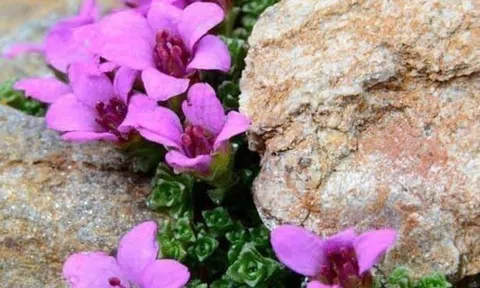 Chuyện kể của lính