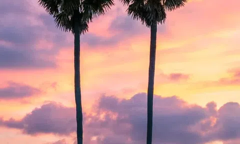 Hai người mẹ