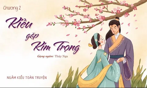 Thói nhà băng tuyết chất hằng phỉ phong là chất gì vậy?