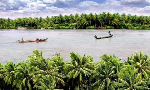 Về miền Tây, thương…