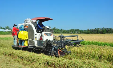 Kiên Giang: Thích ứng an toàn để phát triển kinh tế