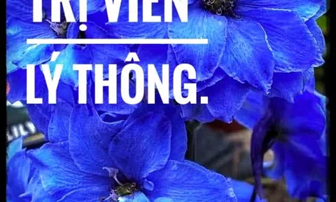 "Chánh trị viên" Lý Thông