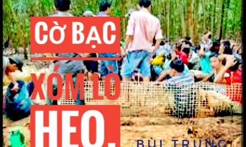 Cờ bạc xóm Lò heo