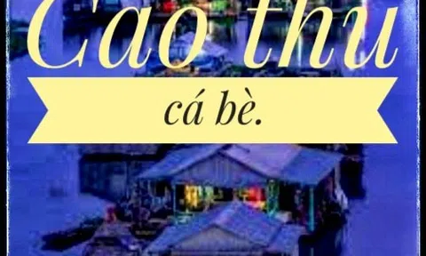 Cao thủ cá Bè
