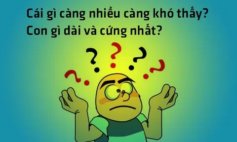Hiện tượng đồng nghĩa khác dạng và đồng dạng khác nghĩa của câu đố