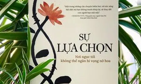 Sự  lựa chọn